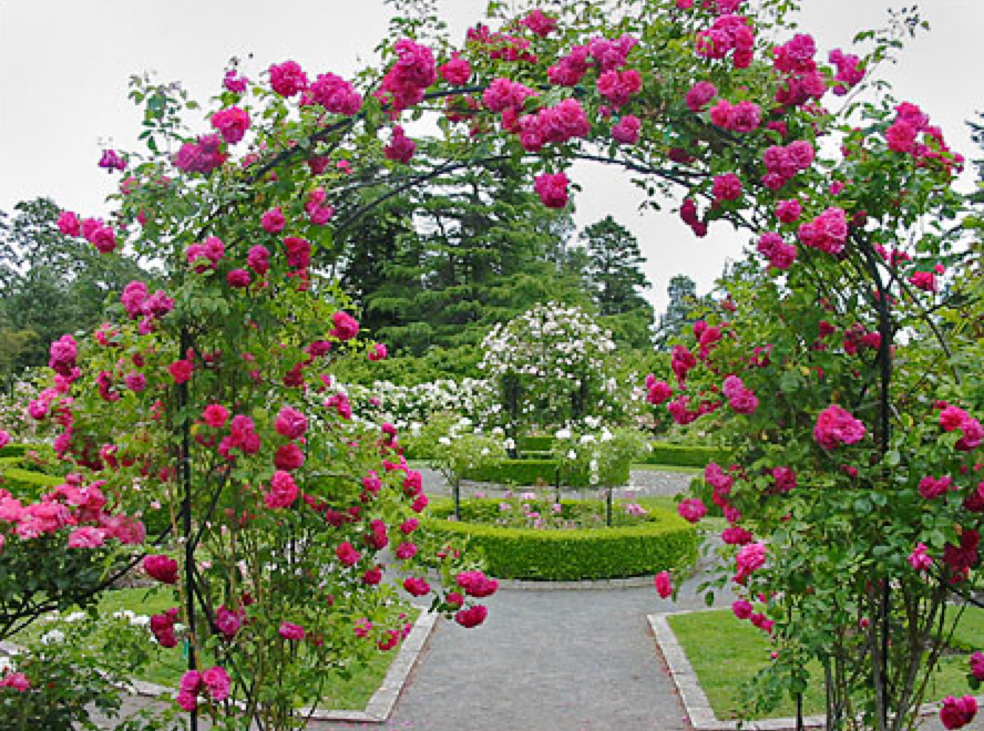 Screen Shot 2016-01-13 at 4.38.48 PM.png