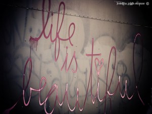 3108843349_c751a90b7f