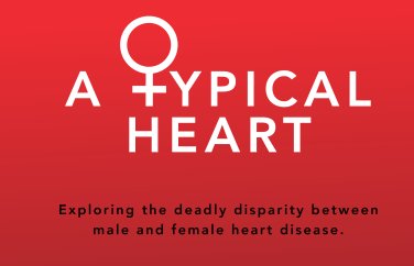 Screen Shot 2019-02-01 at 9.40.16 AM